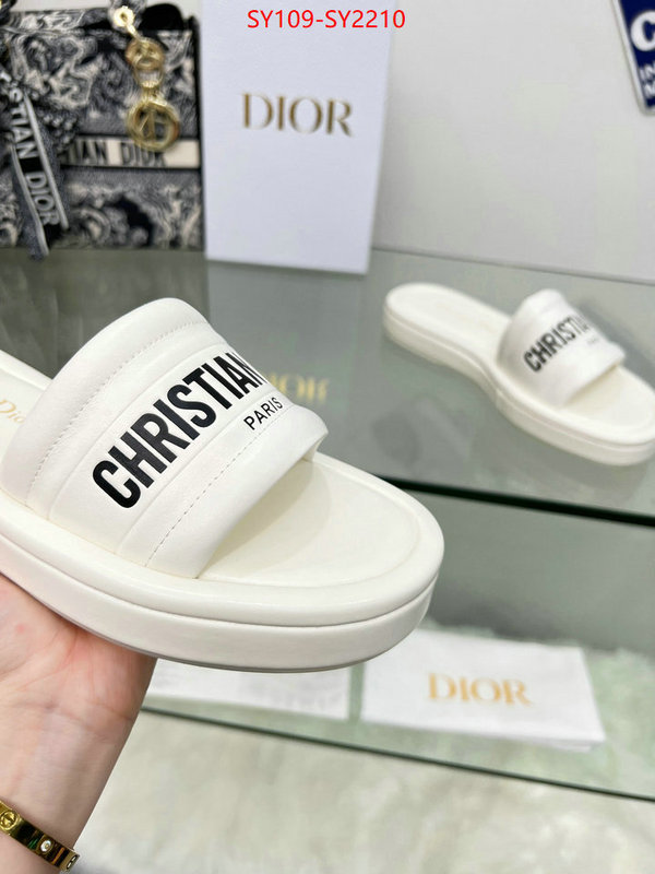 Women Shoes-Dior knockoff highest quality ID: SY2210 $: 109USD