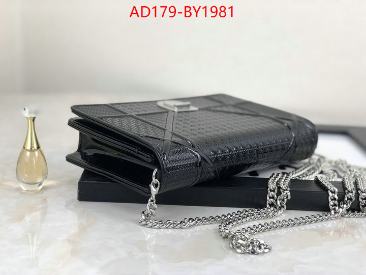 Dior Bags(TOP)-Other Style- knockoff highest quality ID: BY1981 $: 179USD