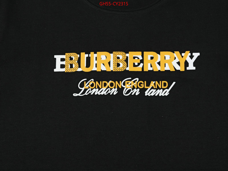 Clothing-Burberry luxury cheap ID: CY2315 $: 55USD