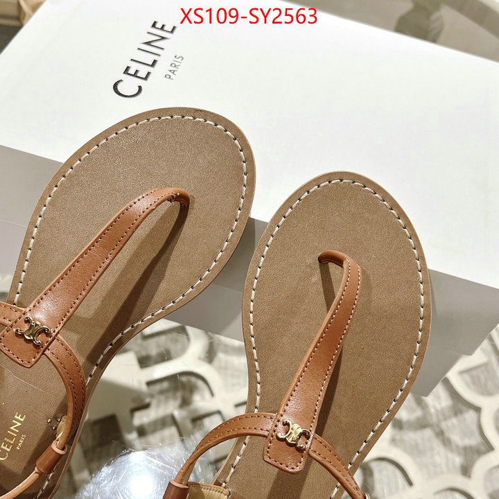 Women Shoes-CELINE luxury shop ID: SY2563 $: 109USD