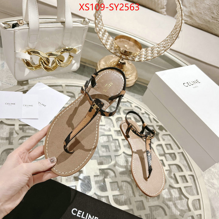 Women Shoes-CELINE luxury shop ID: SY2563 $: 109USD