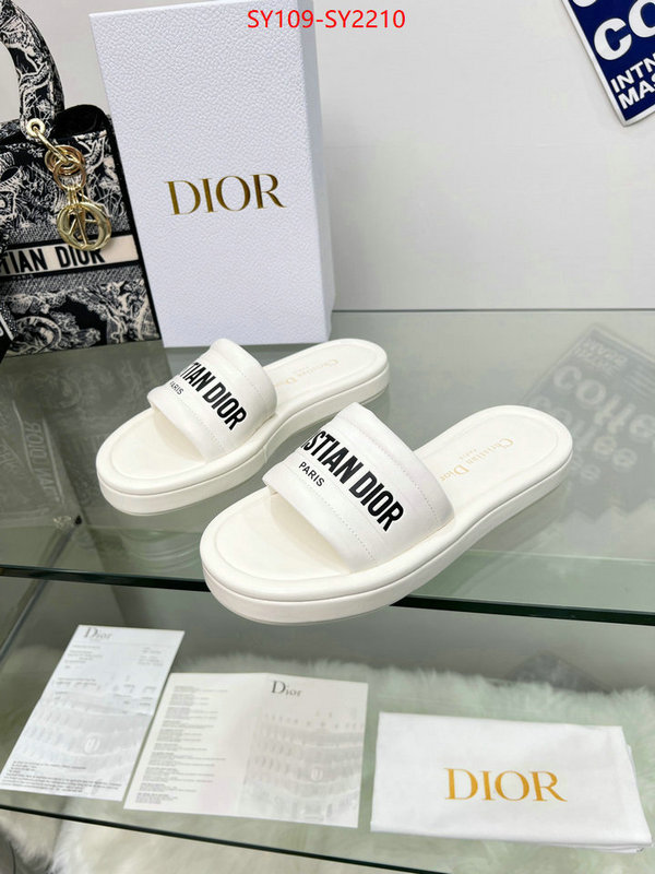 Women Shoes-Dior knockoff highest quality ID: SY2210 $: 109USD