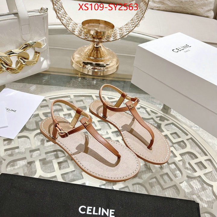 Women Shoes-CELINE luxury shop ID: SY2563 $: 109USD