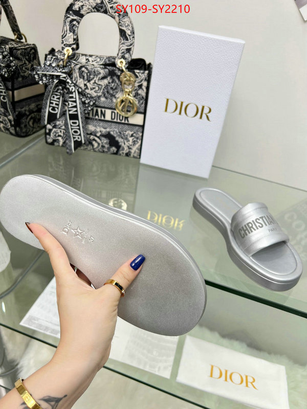 Women Shoes-Dior knockoff highest quality ID: SY2210 $: 109USD