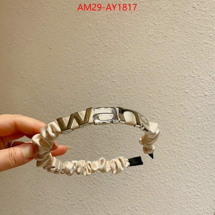 Hair band-Alexander Wang buy luxury 2023 ID: AY1817 $: 29USD