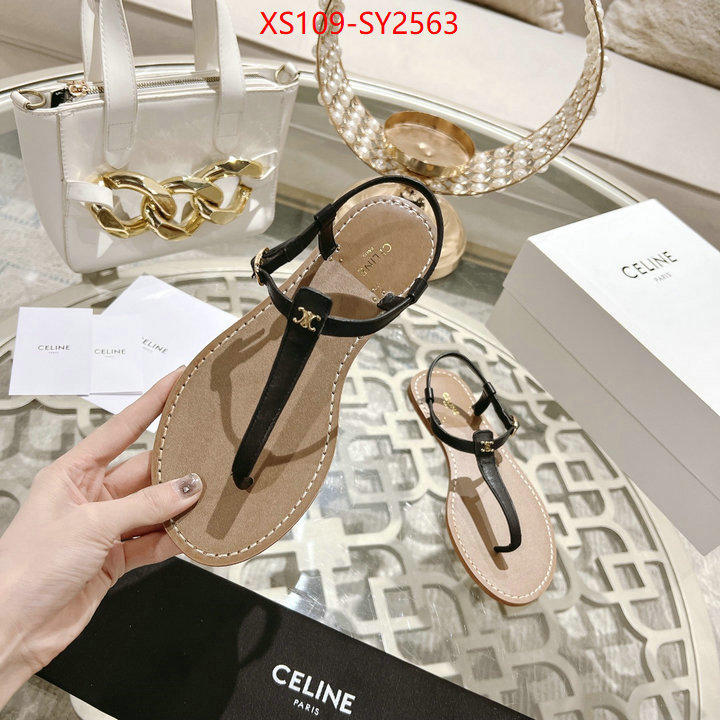 Women Shoes-CELINE luxury shop ID: SY2563 $: 109USD