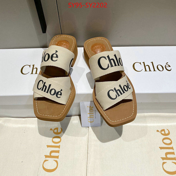 Women Shoes-Chloe the highest quality fake ID: SY2202 $: 95USD