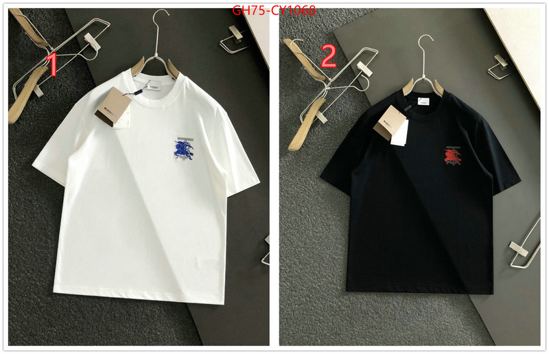 Clothing-Burberry,aaaaa+ replica designer ID: CY1068,$: 75USD