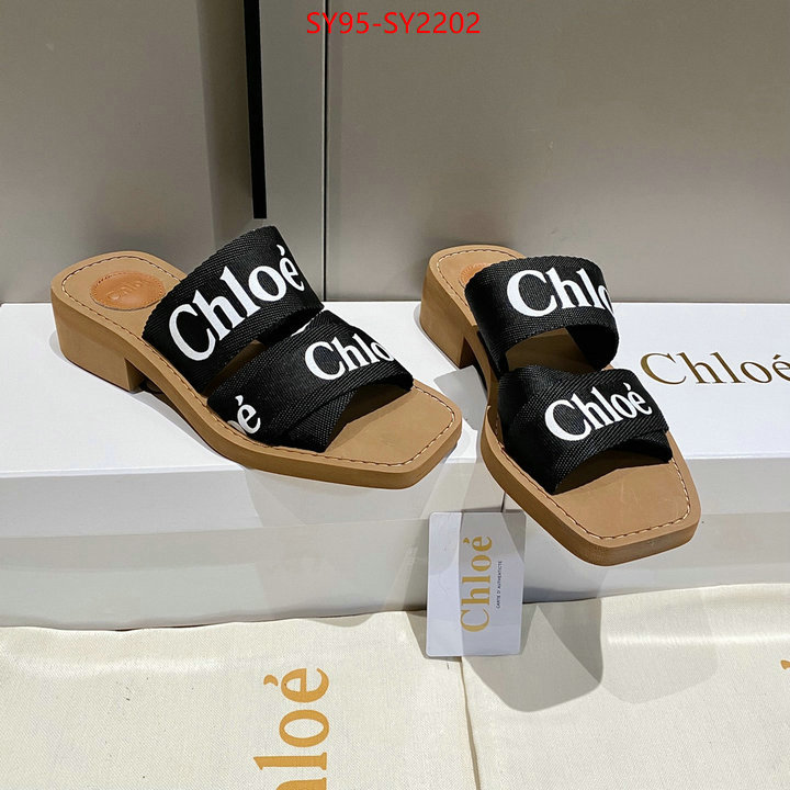 Women Shoes-Chloe the highest quality fake ID: SY2202 $: 95USD