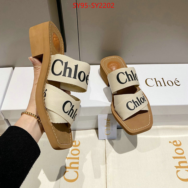 Women Shoes-Chloe the highest quality fake ID: SY2202 $: 95USD