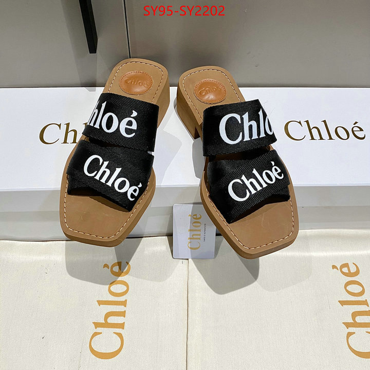 Women Shoes-Chloe the highest quality fake ID: SY2202 $: 95USD