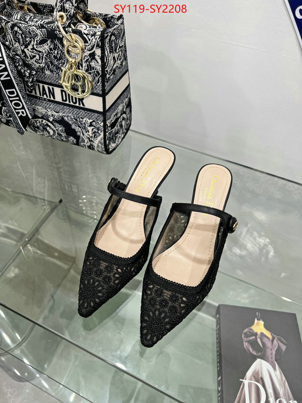 Women Shoes-Dior top quality ID: SY2208 $: 119USD