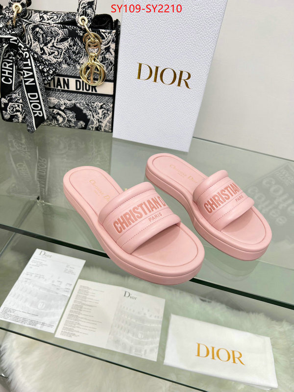 Women Shoes-Dior knockoff highest quality ID: SY2210 $: 109USD