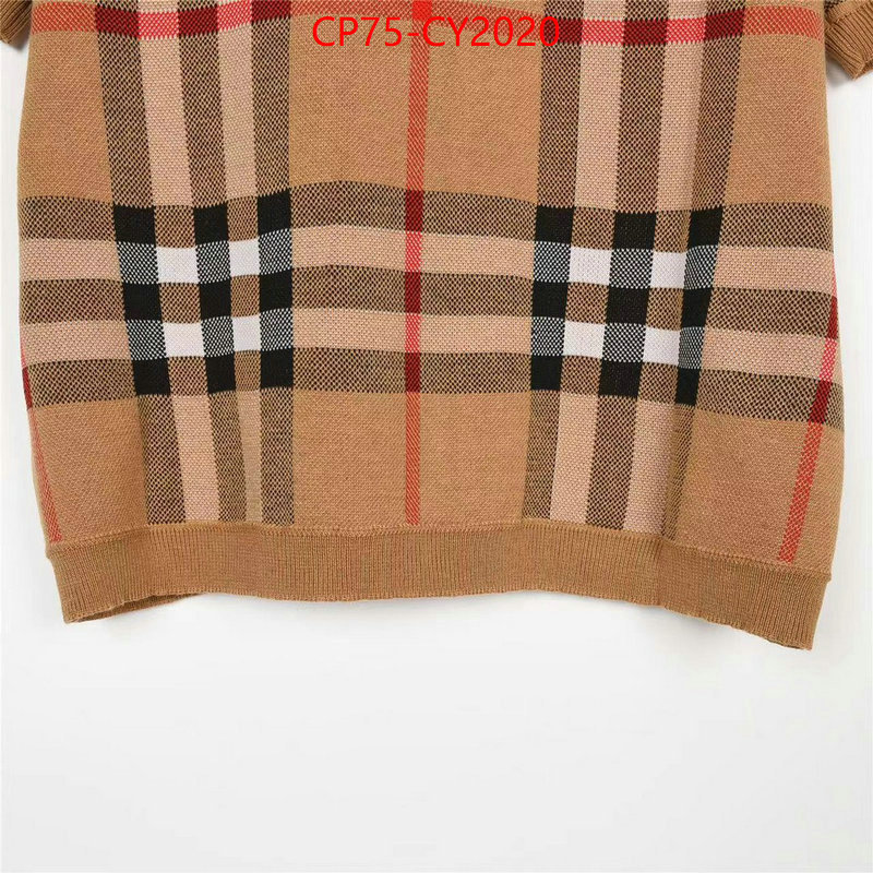 Clothing-Burberry every designer ID: CY2020 $: 75USD