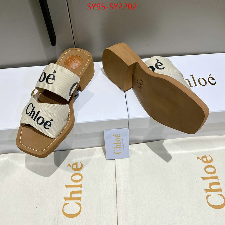 Women Shoes-Chloe the highest quality fake ID: SY2202 $: 95USD