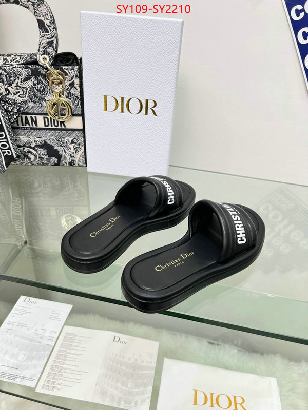 Women Shoes-Dior knockoff highest quality ID: SY2210 $: 109USD