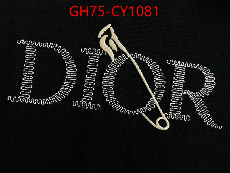 Clothing-Dior,quality aaaaa replica ID: CY1081,$: 75USD