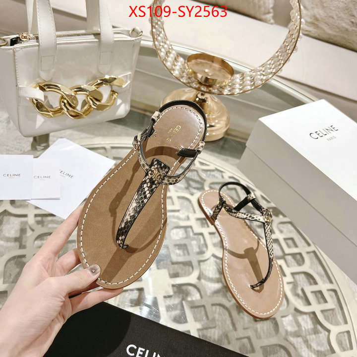 Women Shoes-CELINE luxury shop ID: SY2563 $: 109USD