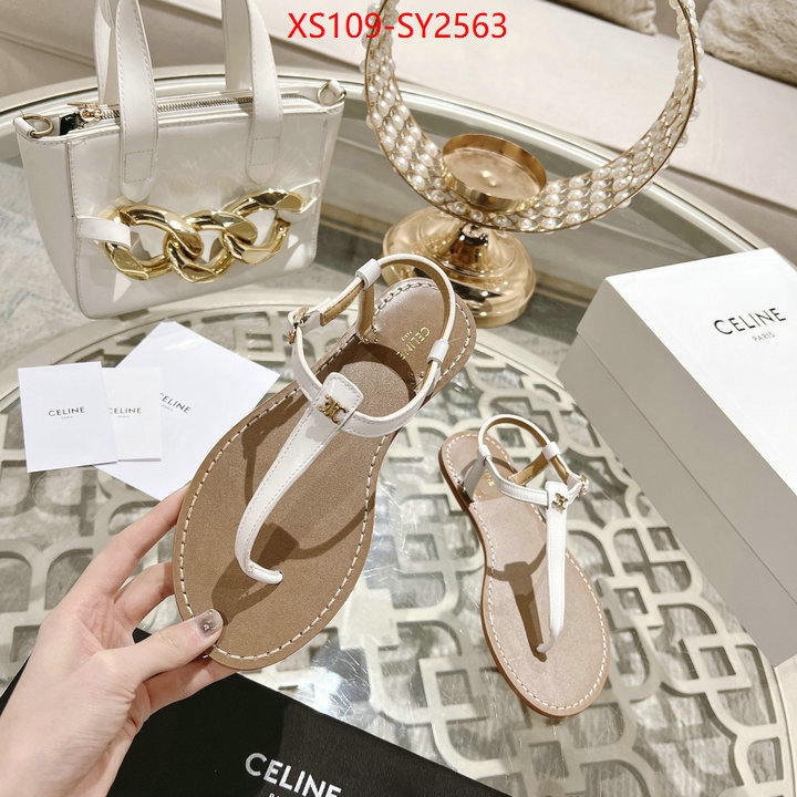 Women Shoes-CELINE luxury shop ID: SY2563 $: 109USD