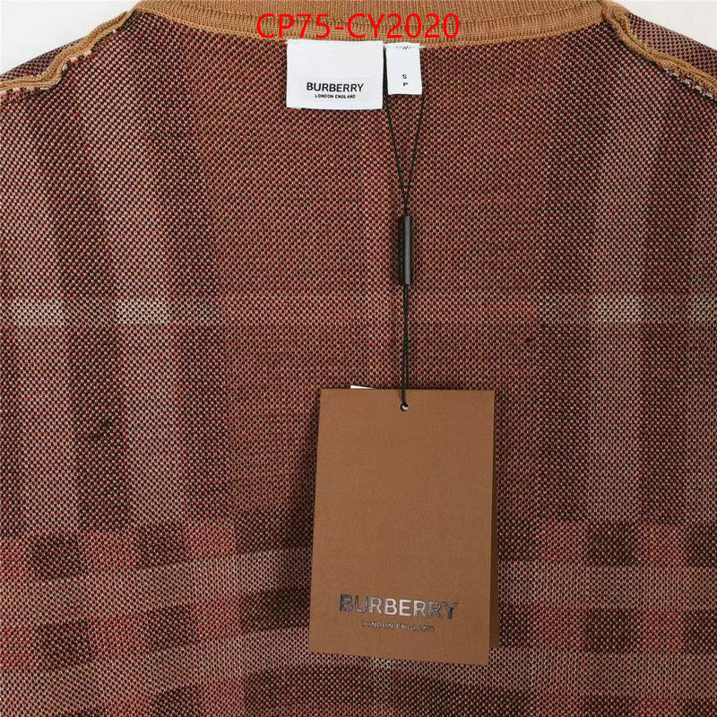 Clothing-Burberry every designer ID: CY2020 $: 75USD
