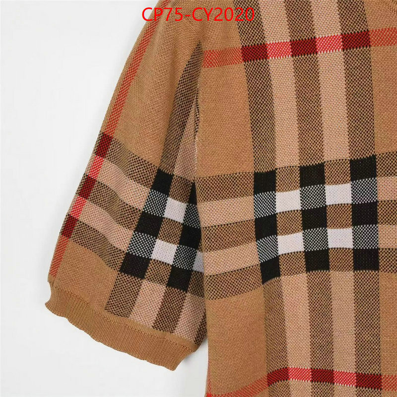 Clothing-Burberry every designer ID: CY2020 $: 75USD