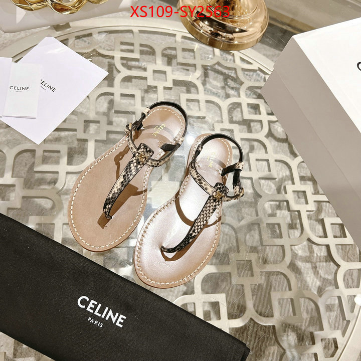 Women Shoes-CELINE luxury shop ID: SY2563 $: 109USD