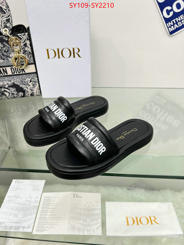 Women Shoes-Dior knockoff highest quality ID: SY2210 $: 109USD