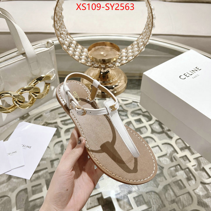 Women Shoes-CELINE luxury shop ID: SY2563 $: 109USD