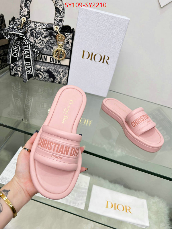 Women Shoes-Dior knockoff highest quality ID: SY2210 $: 109USD