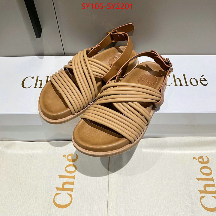 Women Shoes-Chloe wholesale replica ID: SY2201 $: 105USD
