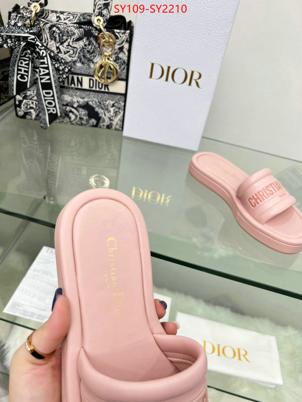 Women Shoes-Dior knockoff highest quality ID: SY2210 $: 109USD