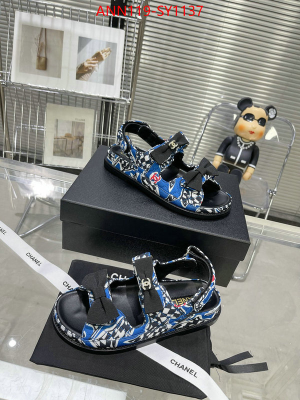 Women Shoes-Chanel,sellers online ID: SY1137,$: 119USD