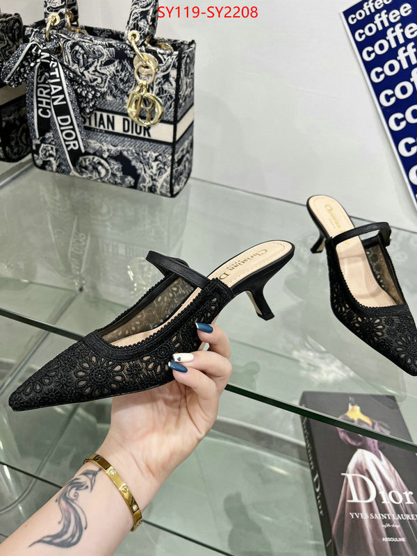 Women Shoes-Dior top quality ID: SY2208 $: 119USD