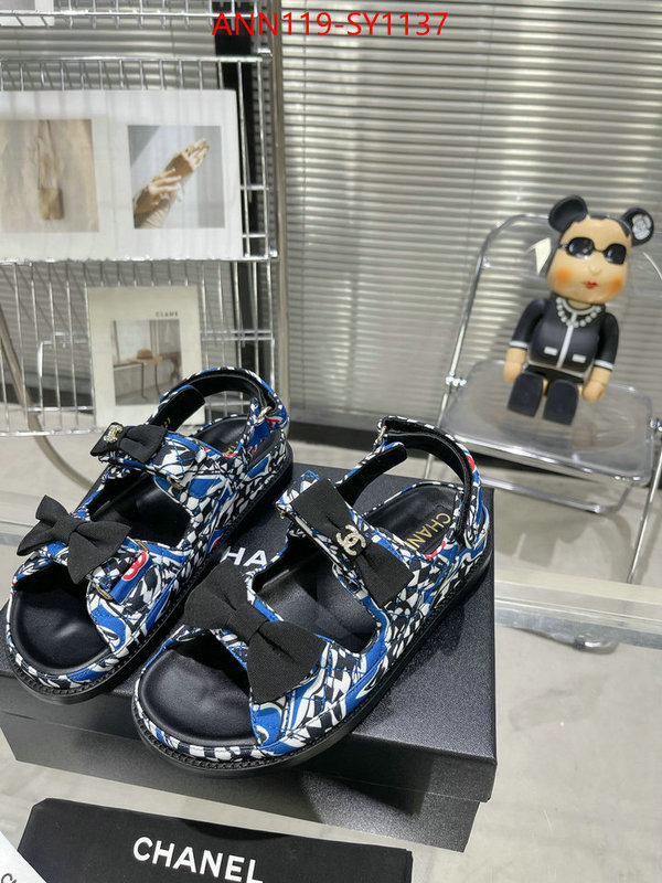 Women Shoes-Chanel,sellers online ID: SY1137,$: 119USD