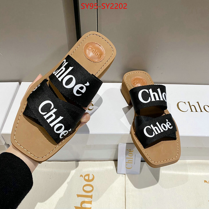 Women Shoes-Chloe the highest quality fake ID: SY2202 $: 95USD