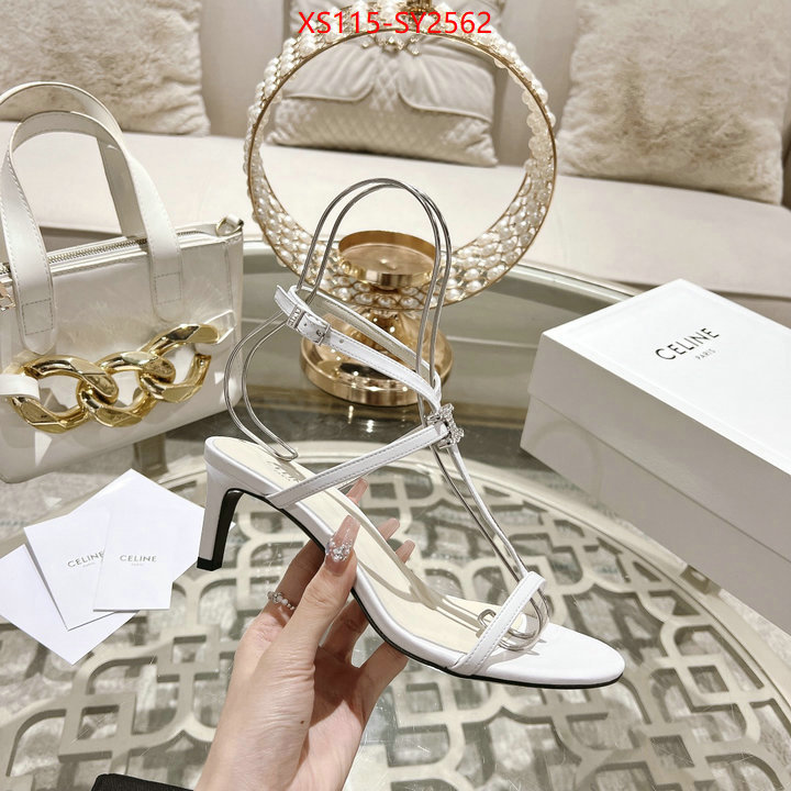 Women Shoes-CELINE from china ID: SY2562 $: 115USD