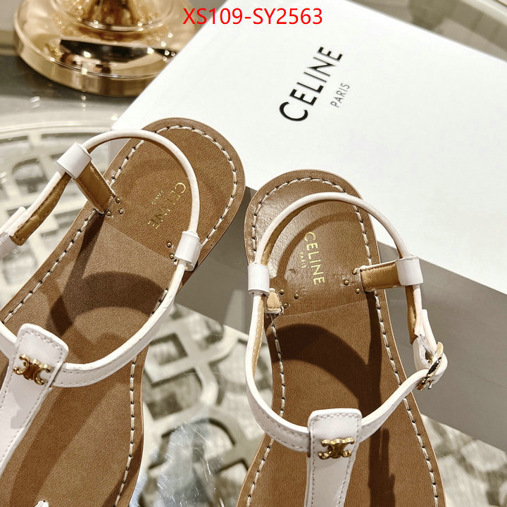 Women Shoes-CELINE luxury shop ID: SY2563 $: 109USD