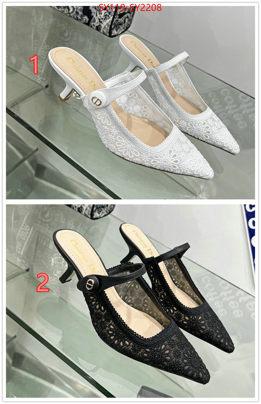 Women Shoes-Dior top quality ID: SY2208 $: 119USD