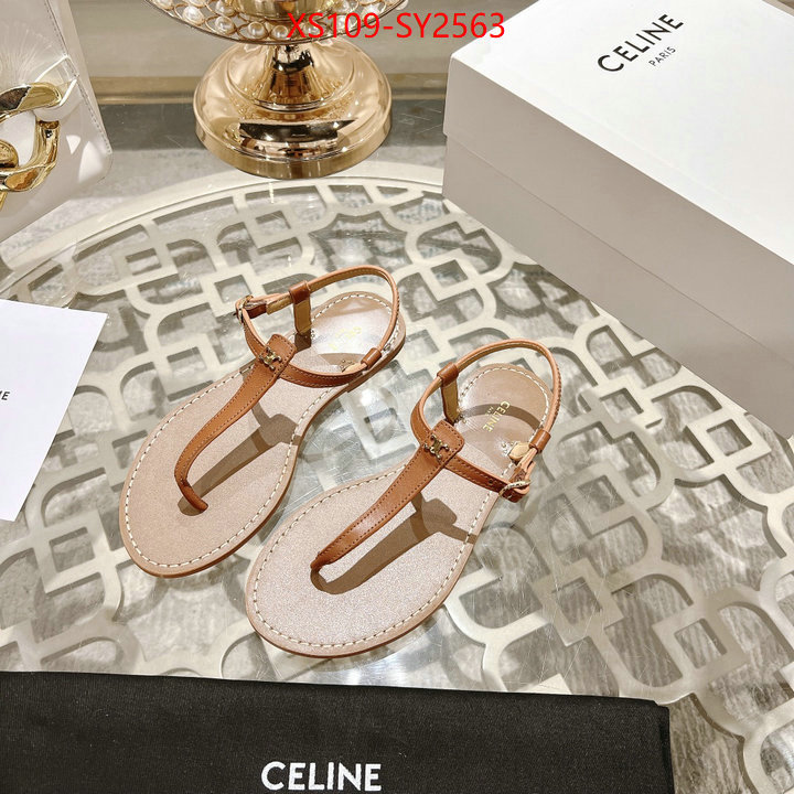 Women Shoes-CELINE luxury shop ID: SY2563 $: 109USD