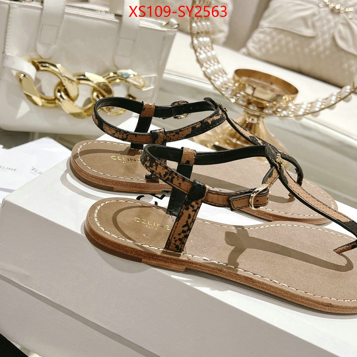 Women Shoes-CELINE luxury shop ID: SY2563 $: 109USD