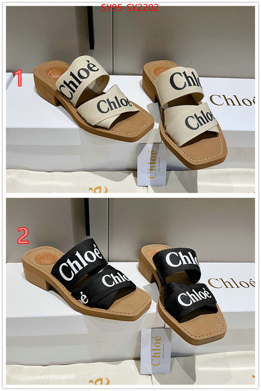 Women Shoes-Chloe the highest quality fake ID: SY2202 $: 95USD