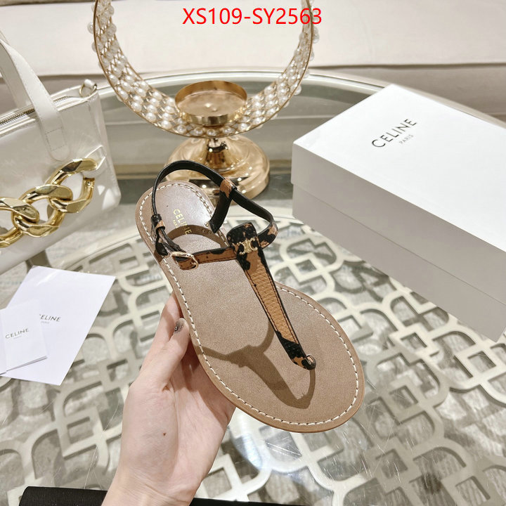 Women Shoes-CELINE luxury shop ID: SY2563 $: 109USD