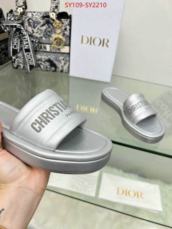 Women Shoes-Dior knockoff highest quality ID: SY2210 $: 109USD