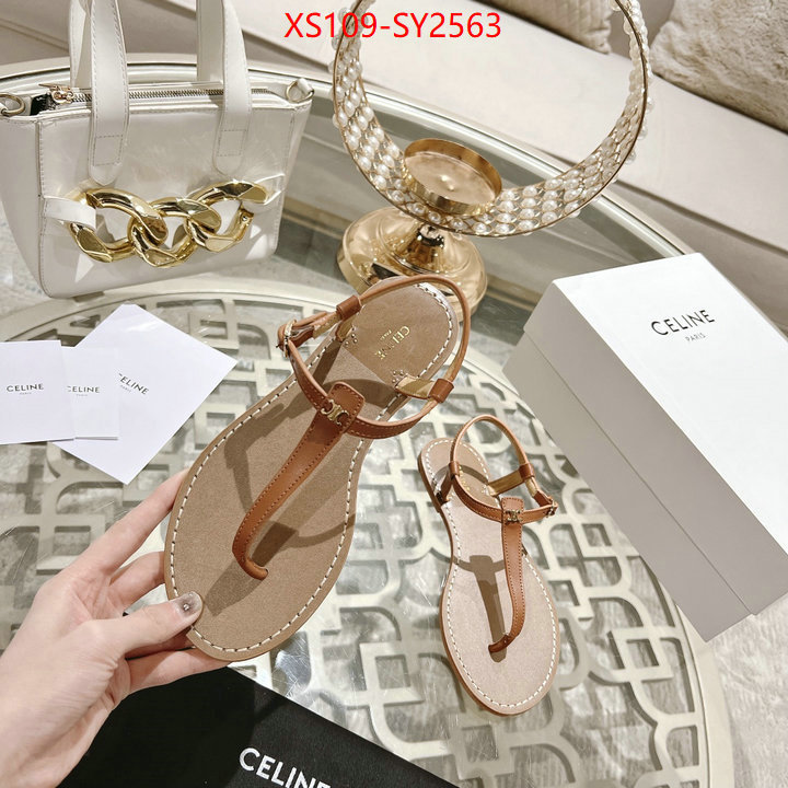 Women Shoes-CELINE luxury shop ID: SY2563 $: 109USD