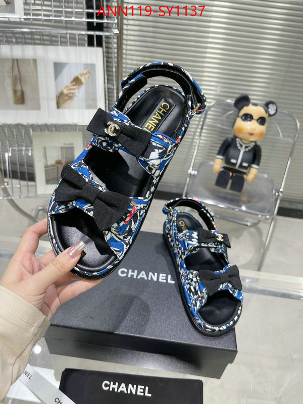 Women Shoes-Chanel,sellers online ID: SY1137,$: 119USD