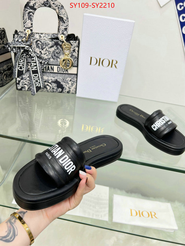 Women Shoes-Dior knockoff highest quality ID: SY2210 $: 109USD