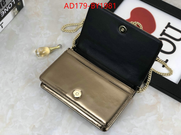 Dior Bags(TOP)-Other Style- knockoff highest quality ID: BY1981 $: 179USD