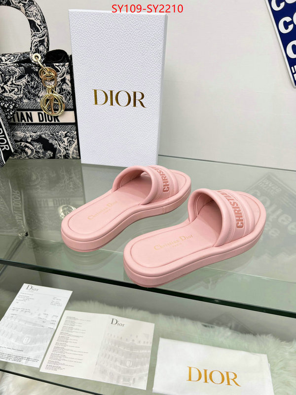 Women Shoes-Dior knockoff highest quality ID: SY2210 $: 109USD