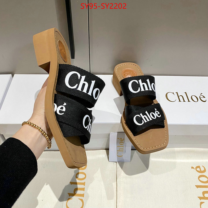 Women Shoes-Chloe the highest quality fake ID: SY2202 $: 95USD