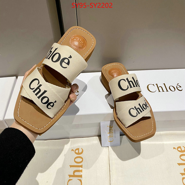 Women Shoes-Chloe the highest quality fake ID: SY2202 $: 95USD